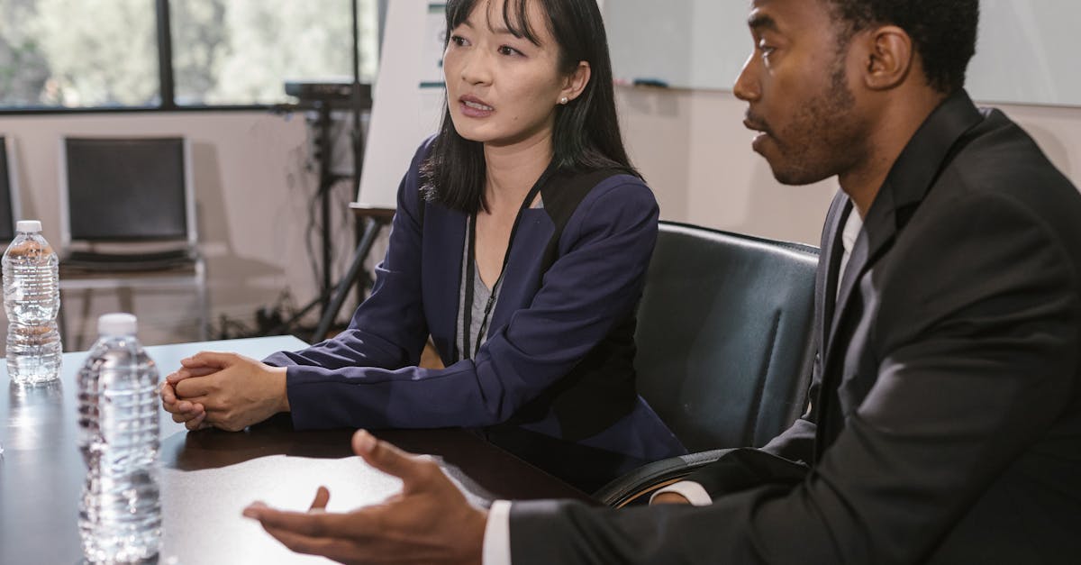 无嘴黄骆驼:猫咪购买平台推荐