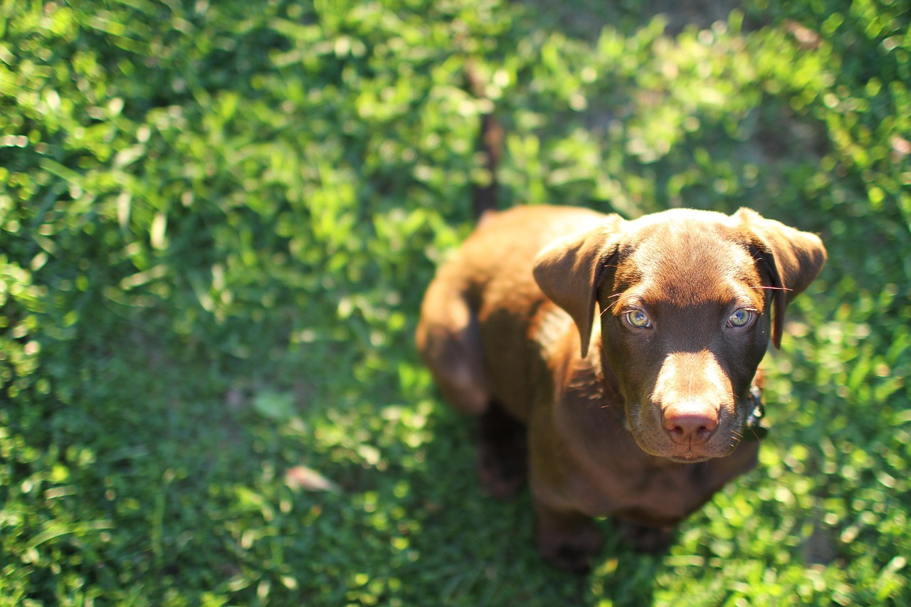 长亭科技实名账号：绍兴公司注册代理推荐哪家