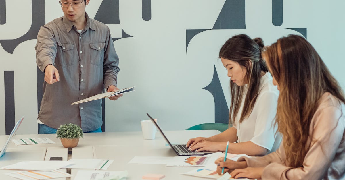 欧宝团队竞技布偶娃娃购买平台