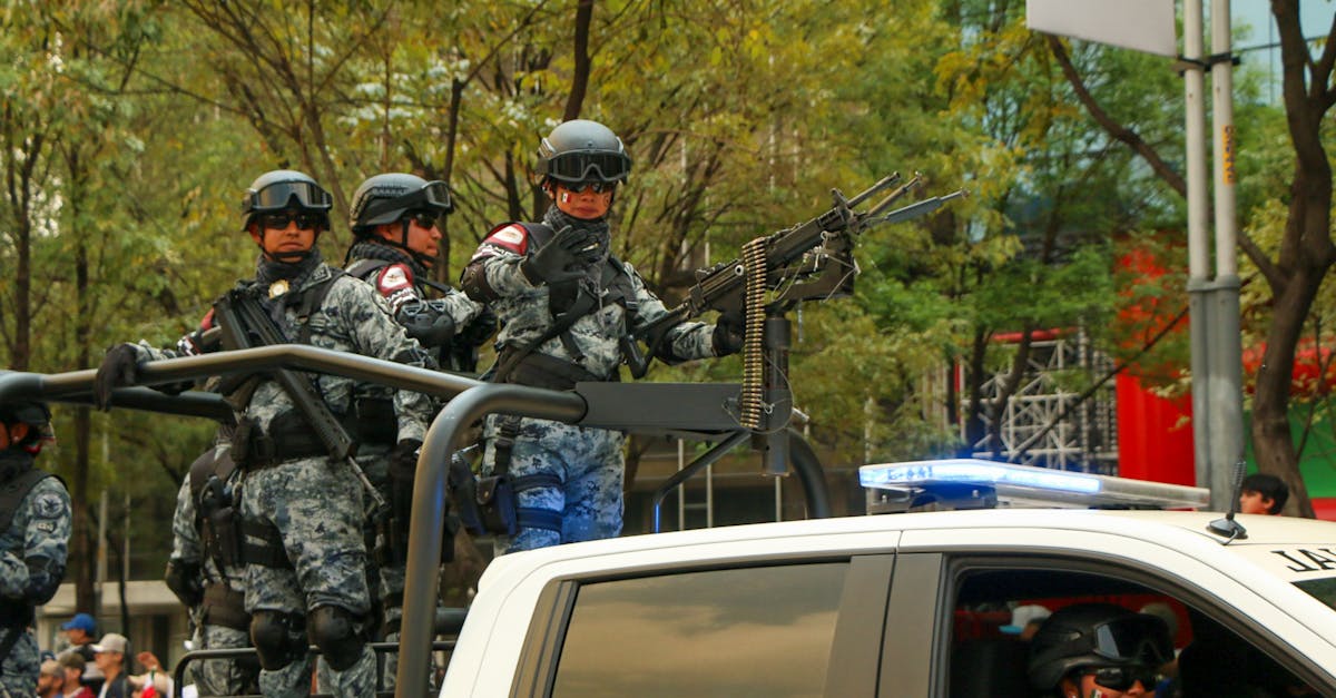 长安幻想辅助- 鹿邑县政府购买服务平台