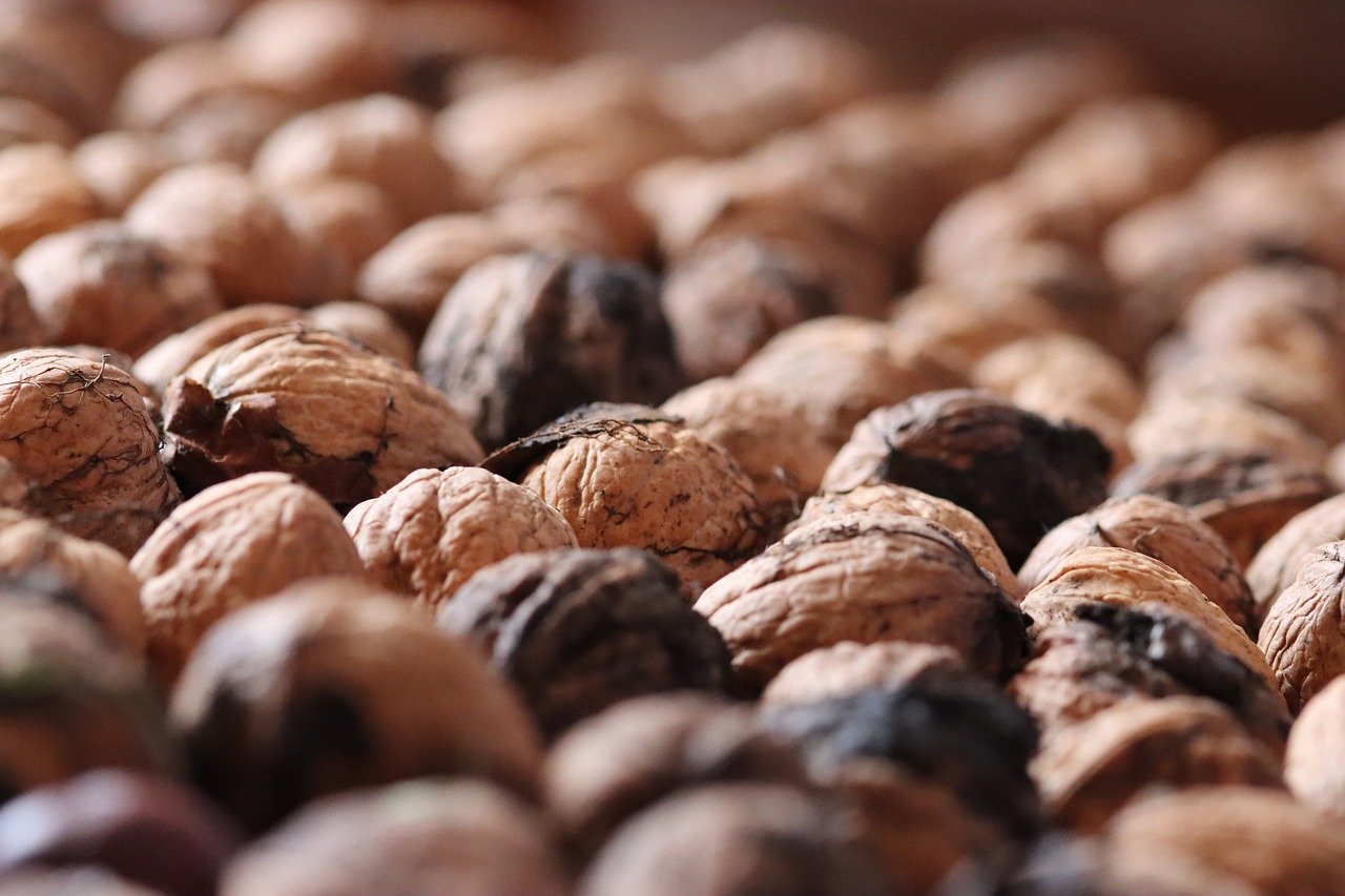 百度手机卡实名账号：浙江代理注册塞舌尔公司