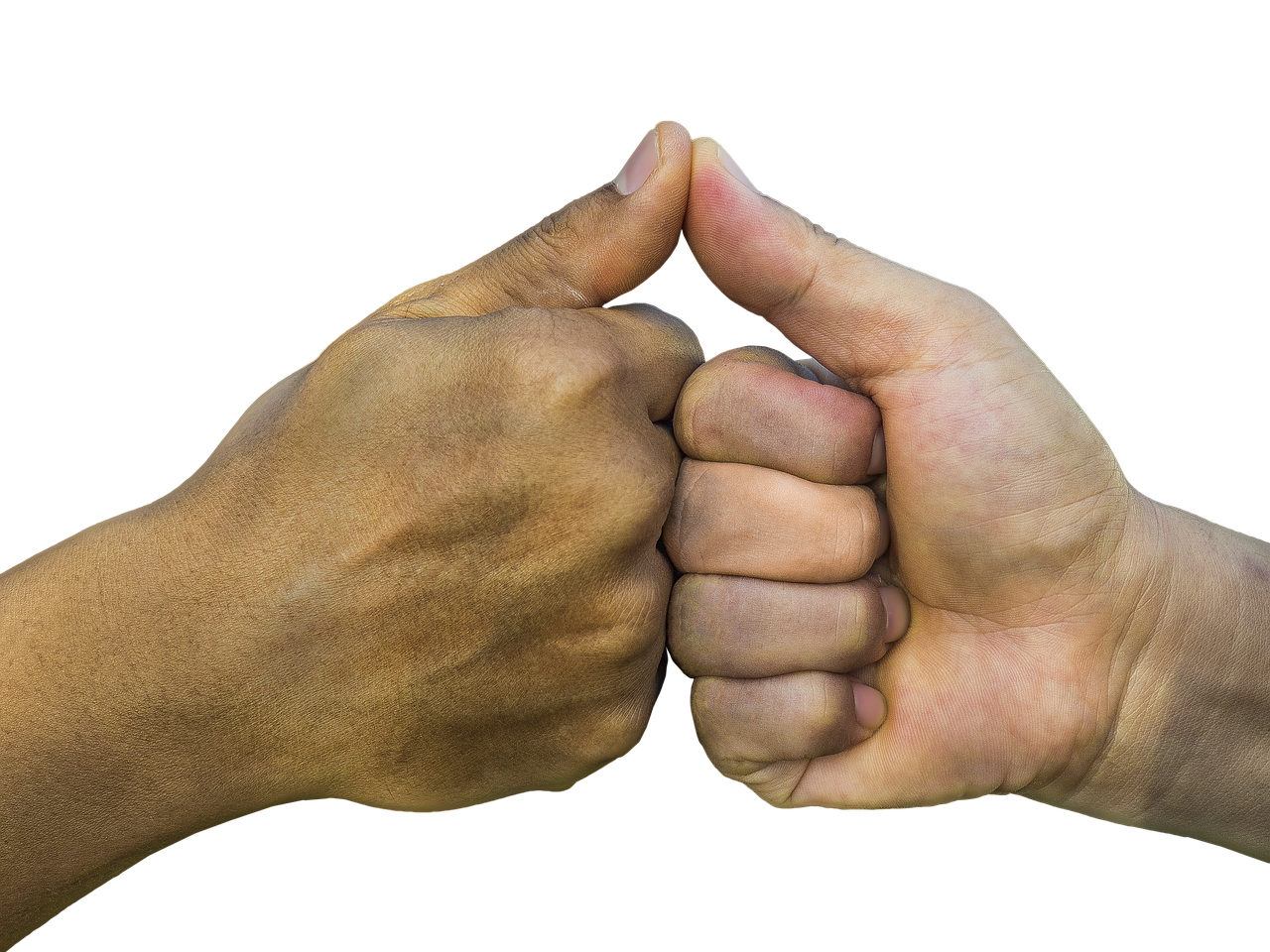 京东云实名账号：如何代理电视购物平台