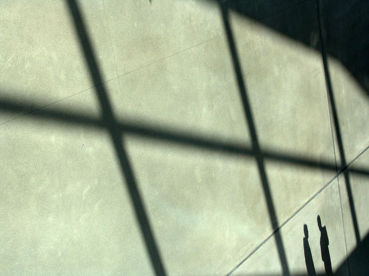 青鸾繁华录：给钱花app详情下载教程