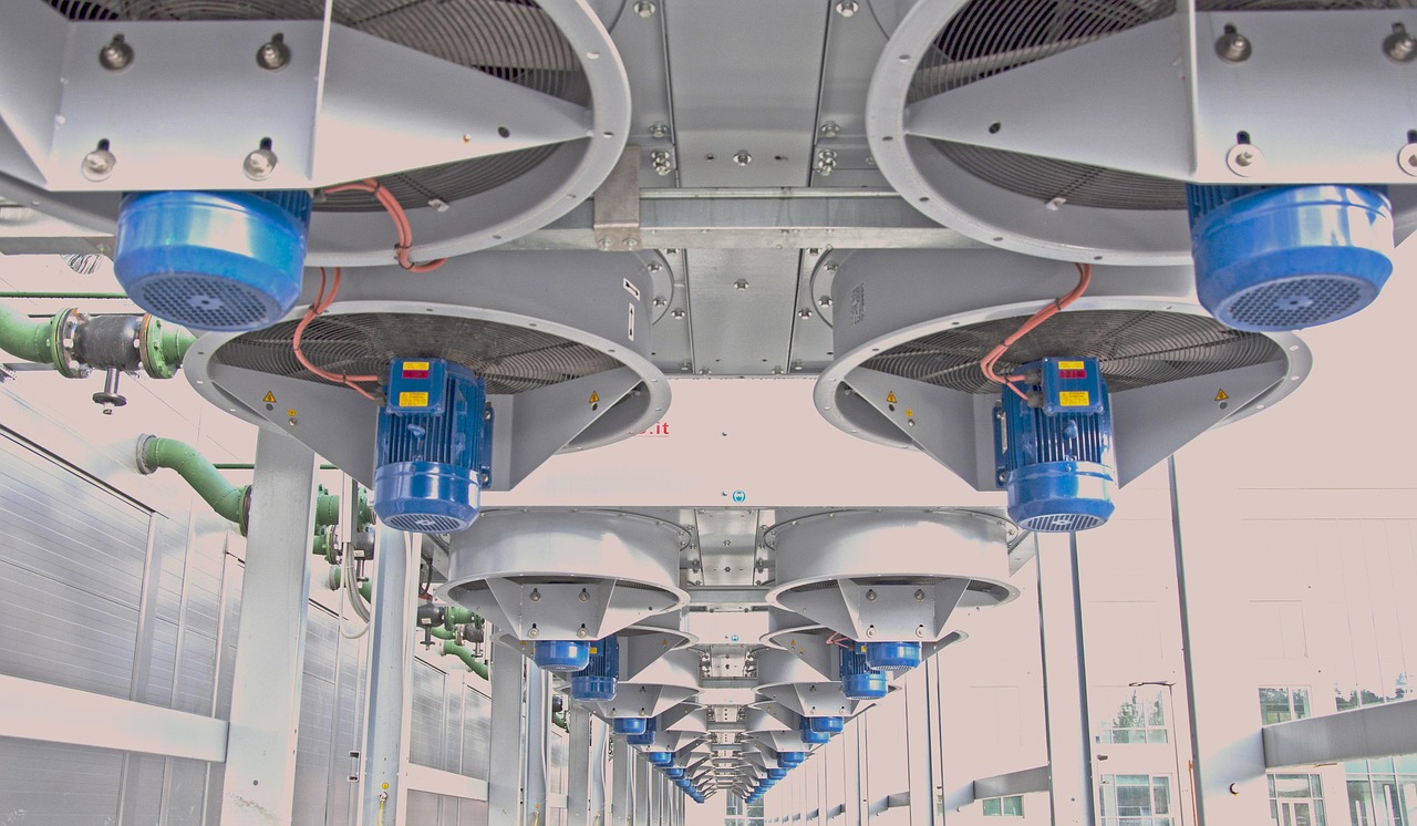 各类app实名实名账号：考拉之家app详情下载教程