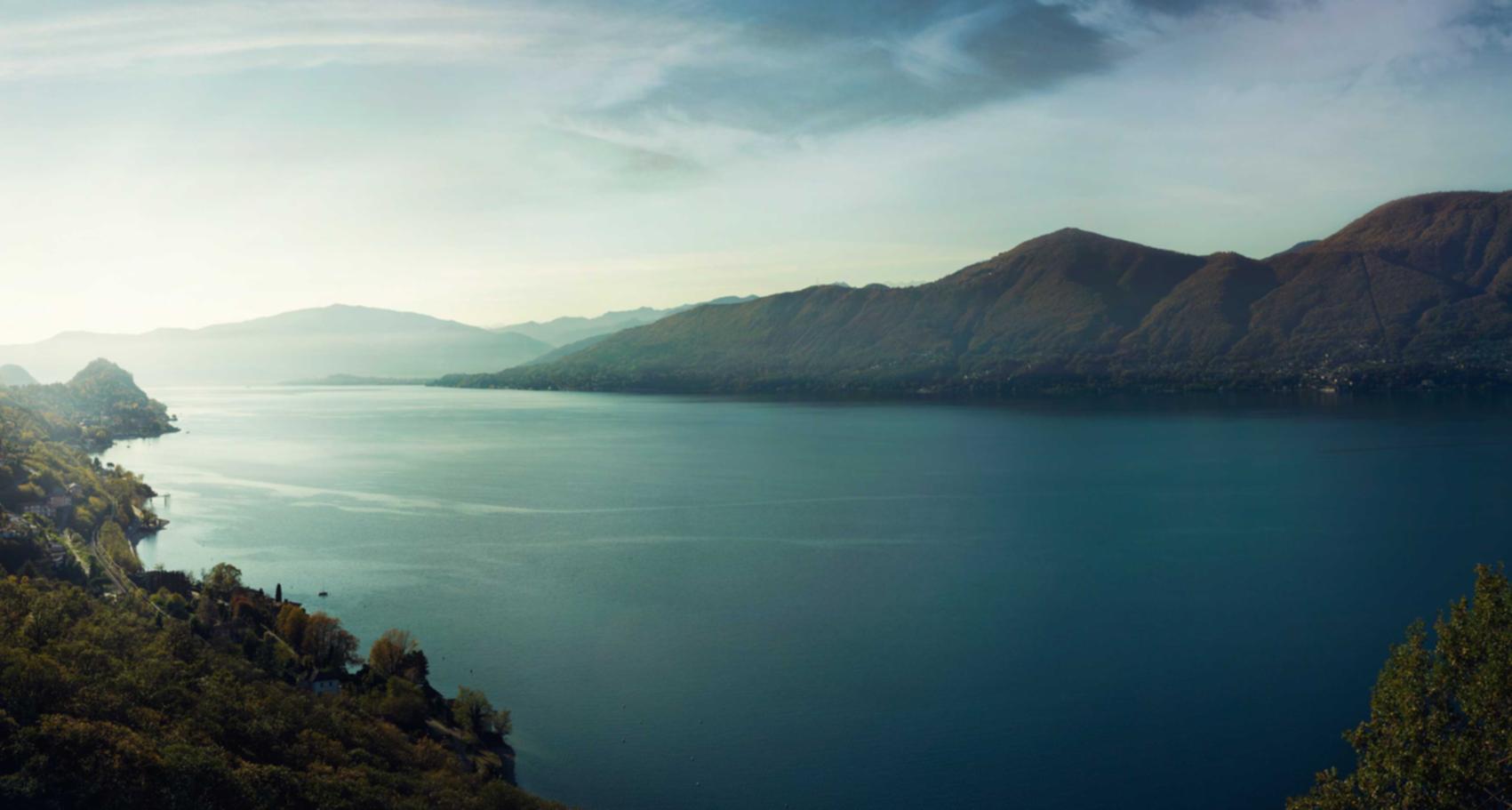 技术支持与更新的平衡性