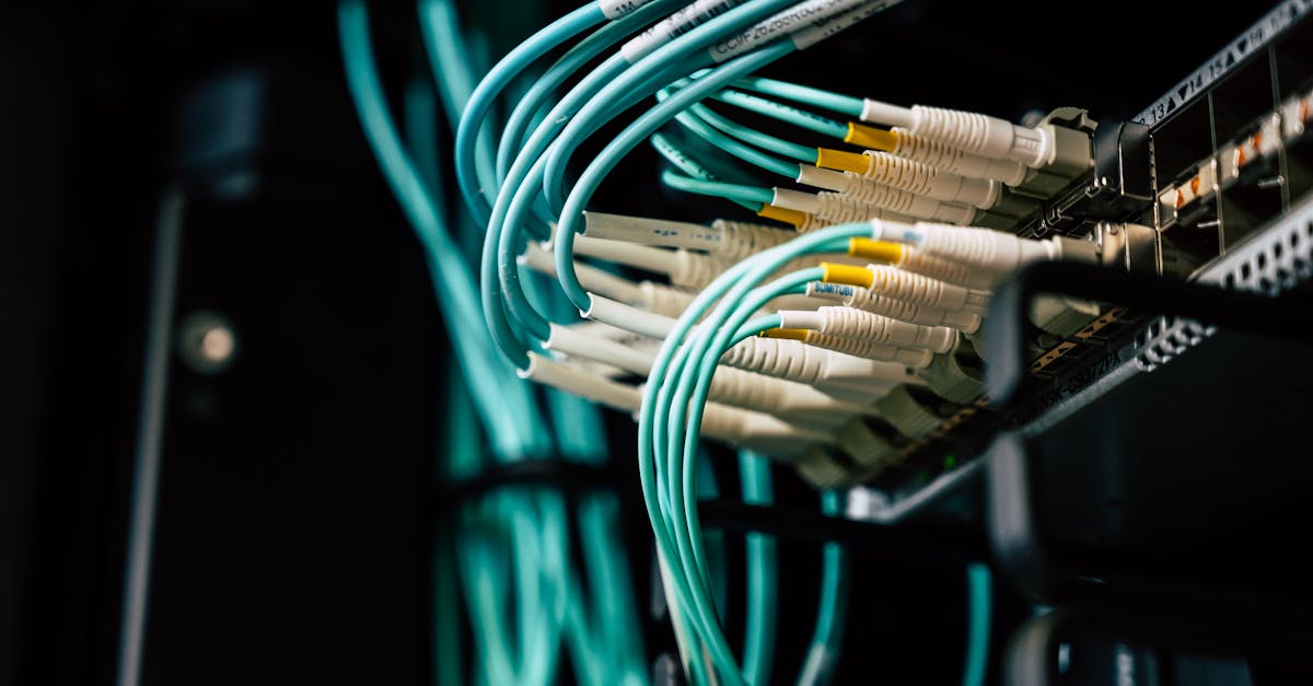 炸房器|鹿城注册代理会计平台