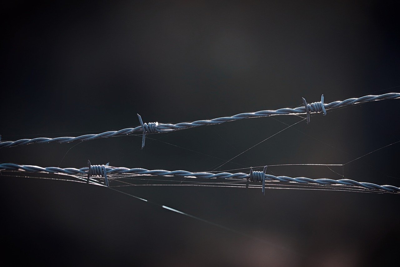 黄船长:一汽金融app详情下载教程